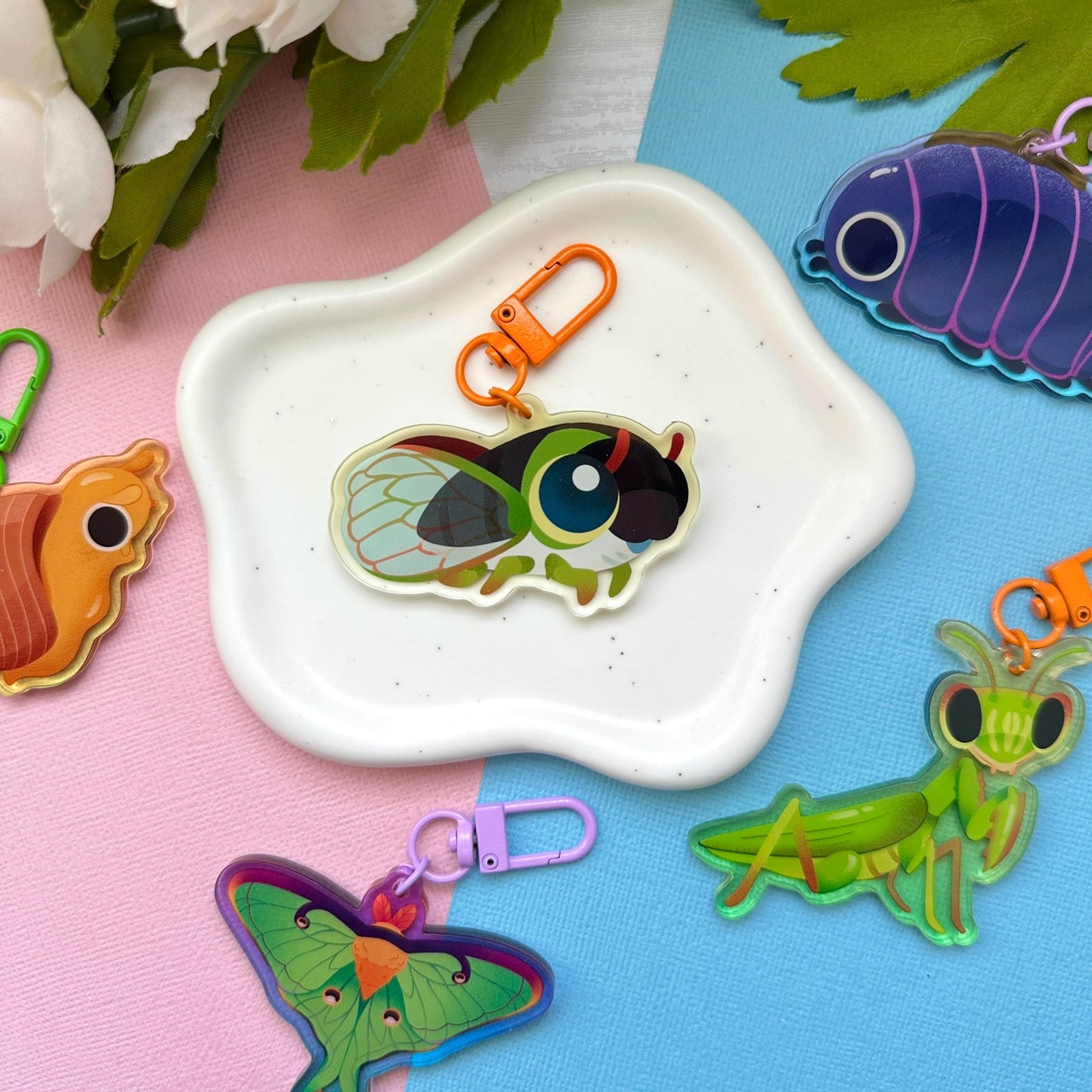 Cicada 2.5" Acrylic Charm