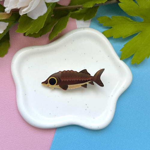 Sturgeon Acrylic Hair Clip