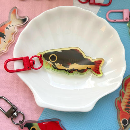 Redtail Catfish 2.5" Acrylic Charm
