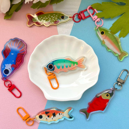 Pale Chub 2.5" Acrylic Charm