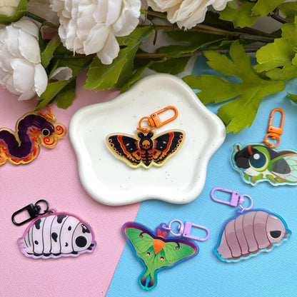 Death's Head Hawk Moth 2.5" Acrylic Charm