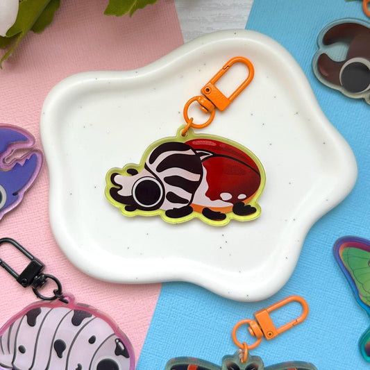 Goliath Beetle 2.5" Acrylic Charm