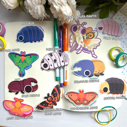 Bug Collection Vinyl Stickers