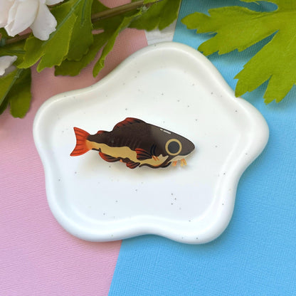 Redtail Catfish Acrylic Hair Clip