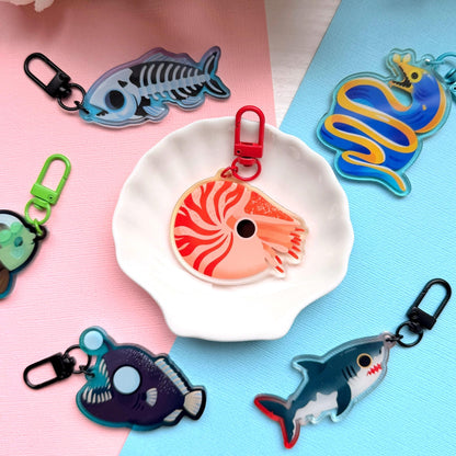 Nautilus 2.5" Acrylic Charm