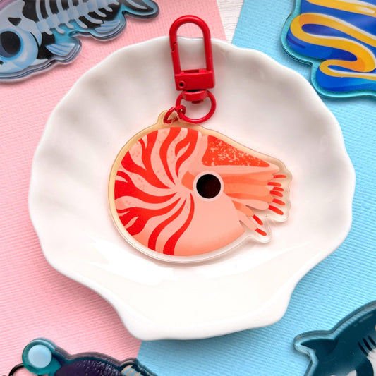 Nautilus 2.5" Acrylic Charm